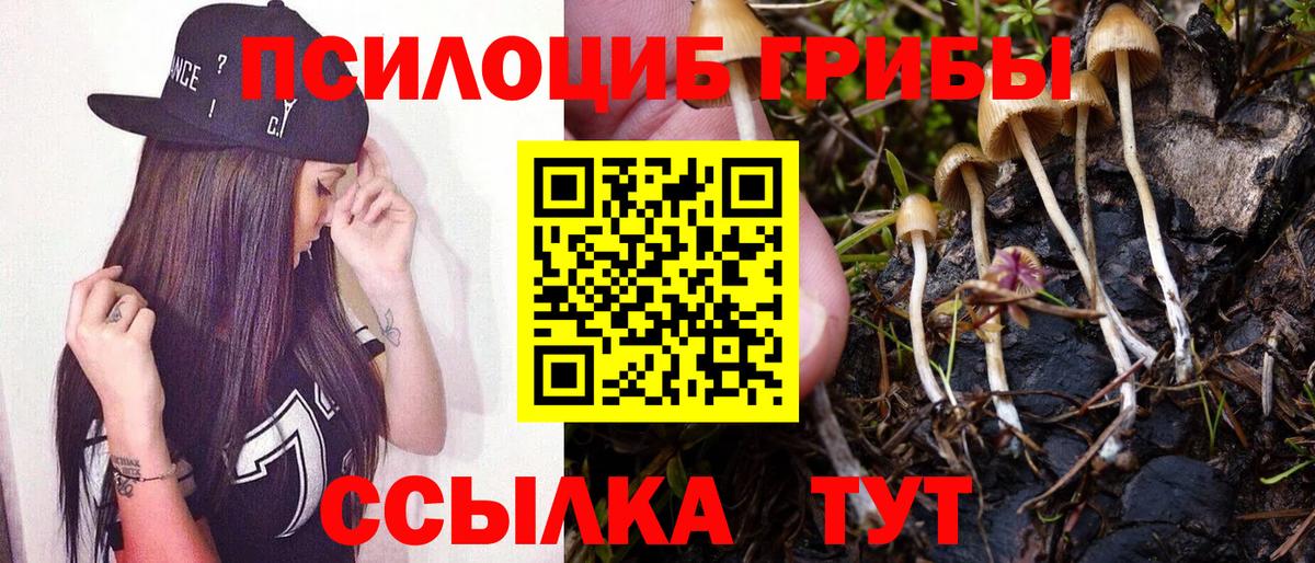 Галлюциногенные грибы Cubensis  Псилоцибиновые грибы GOLDEN TEACHER  Вход с VPN  Ишим 